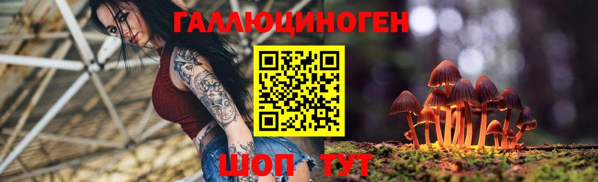 Галлюциногенные грибы Magic Shrooms  Вход с VPN  Абакан 